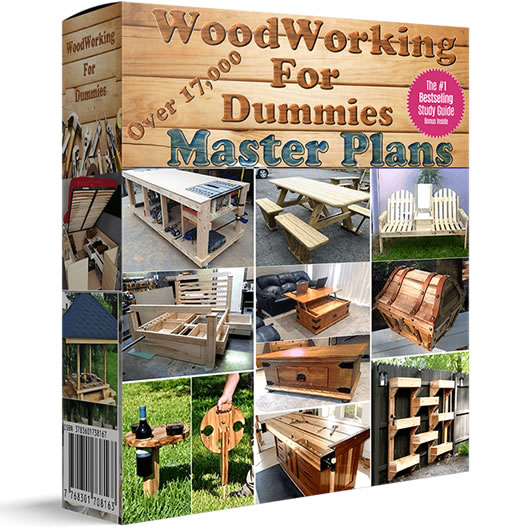 WoodWorking For Dummies Master Plans Course